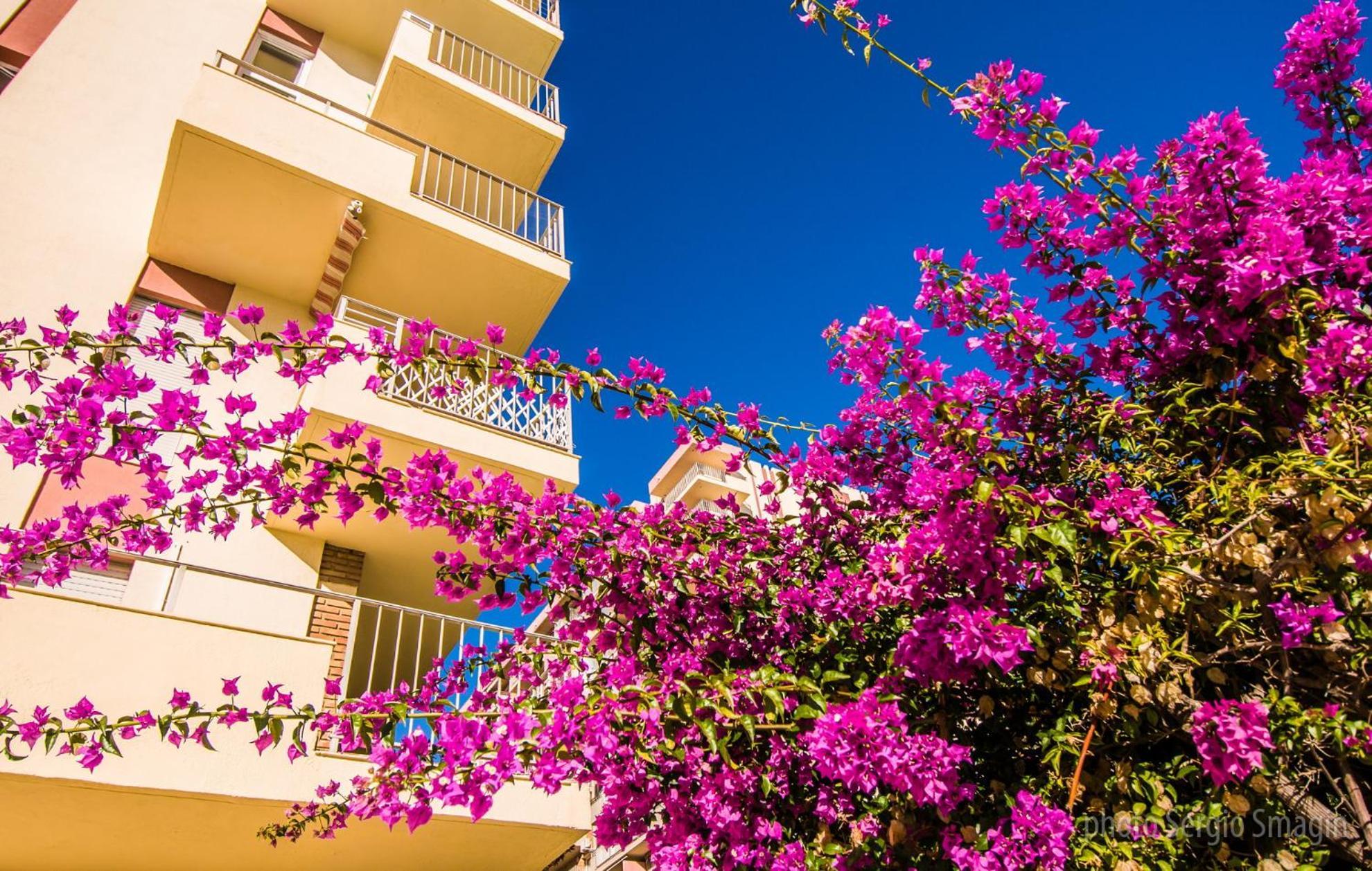 426 Estudio En Minerva Apartamentos - Vista Al Jardin - Piscina Y Playa Benalmádena Exterior foto
